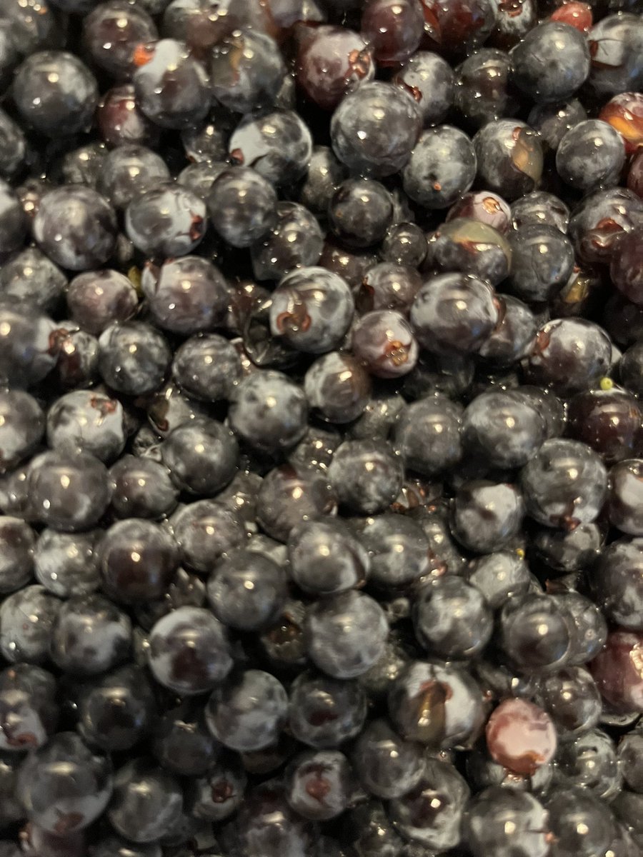 Processing fruit now - Every effort goes into producing #MattsPrivateReserve #Harvest2024 #NapaValley #LosCarneros